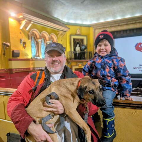 Bruce at the cinema - Ottawa Dog Film Fectival Nov 2025